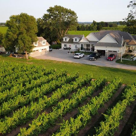 Villa In The Vines Niagara-on-the-Lake Ngoại thất bức ảnh
