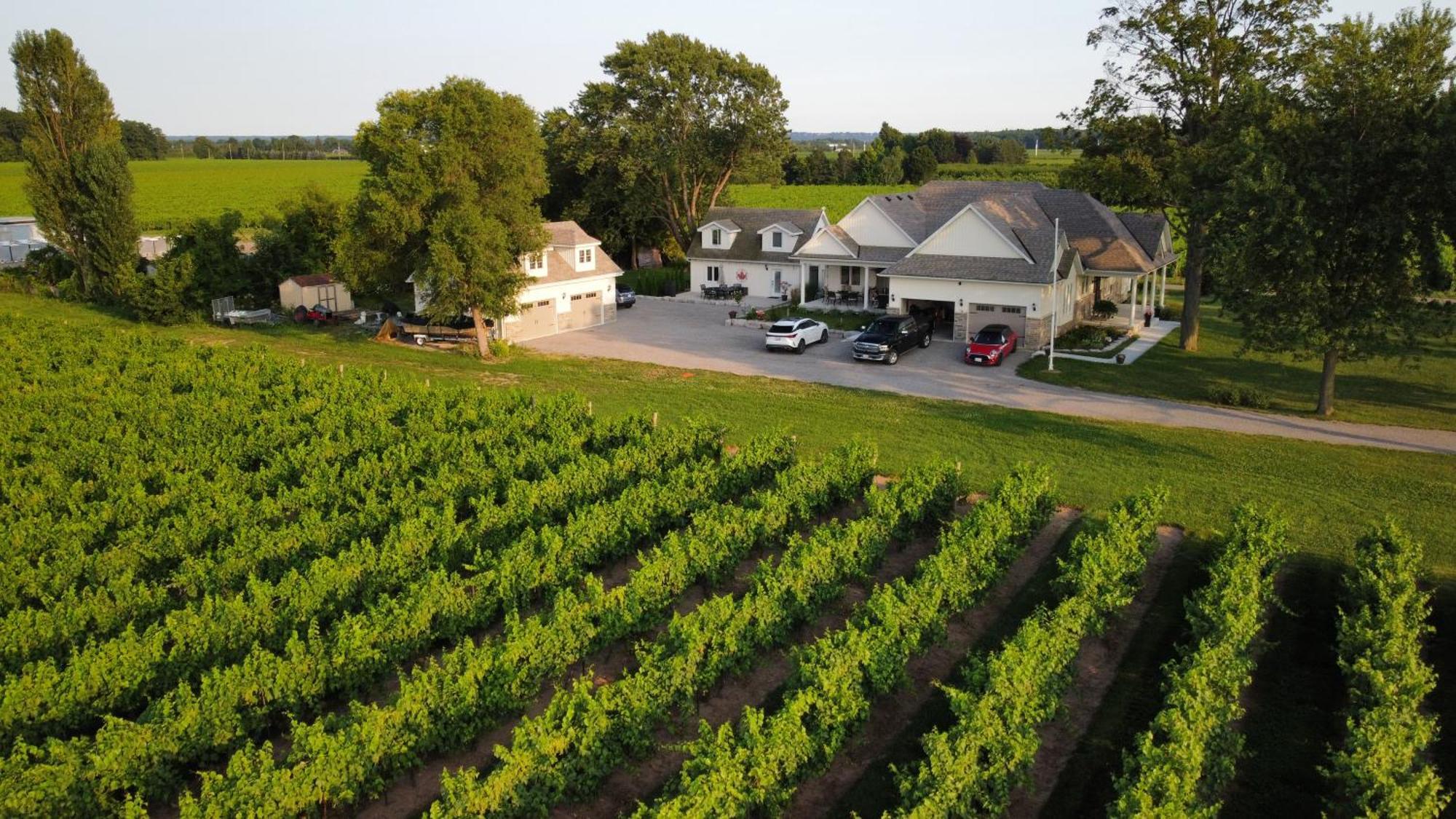 Villa In The Vines Niagara-on-the-Lake Ngoại thất bức ảnh